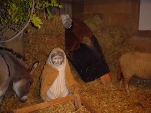Christmas Crib