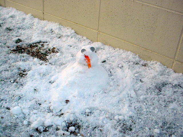 Seeing snow fall in Japan