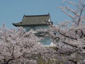 Kansai versus Kanto: Why you should visit Osaka and surrounds in Japan