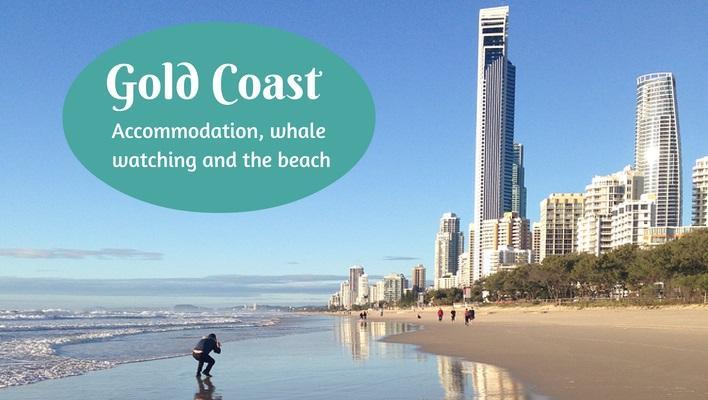 Gold Coast accommodation, whale watching and the beach