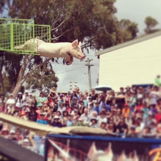 Visiting the Perth Royal Show, Western Australia