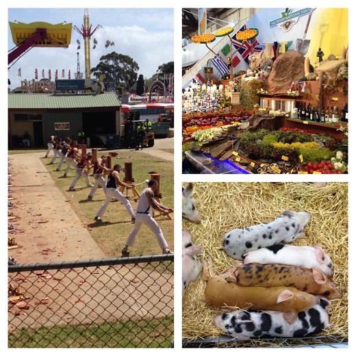 Visiting the Perth Royal Show, Western Australia