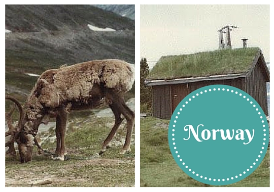 Norway - Amanda Kendle of Not A Ballerina