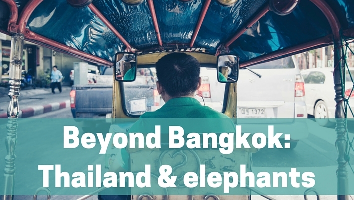Beyond Bangkok - Thailand and elephants