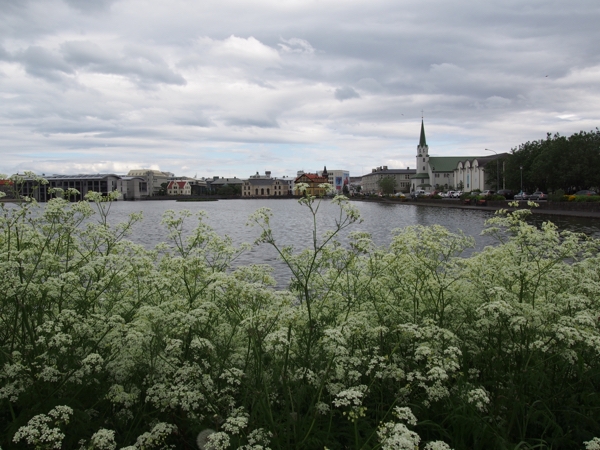Iceland under your skin - Reykjavik is full of culture
