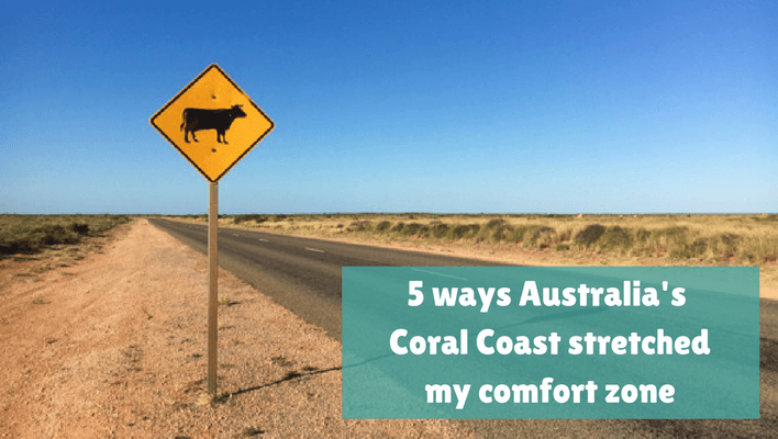 5 ways Australia's Coral Coast stretched my comfort zone
