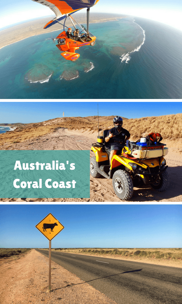 5 ways Australia's Coral Coast stretched my comfort zone
