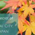Secret of Sakai City, Japan