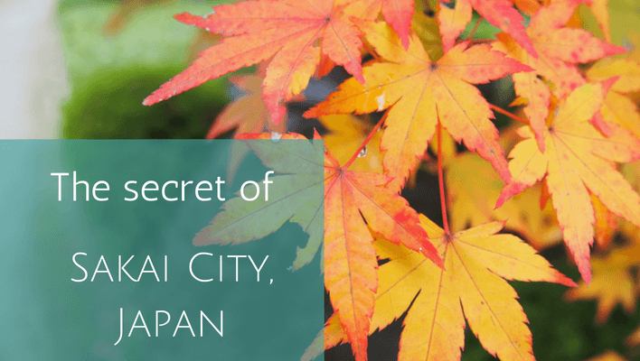 Secret of Sakai City, Japan