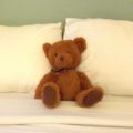 Travelling with kids - Jack the toy bear in Penang