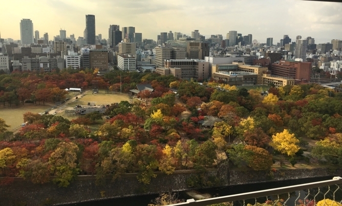 Thoughtful Travel in Osaka Japan