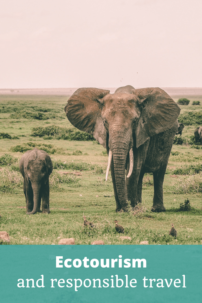Ecotourism and Responsible Travel - The Thoughtful Travel Podcast