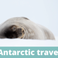 Antarctic travel - The Thoughtful Travel Podcast Episode 184