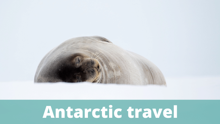 Antarctic travel - The Thoughtful Travel Podcast Episode 184
