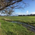 Paddocks near Bunbury in Western Australia