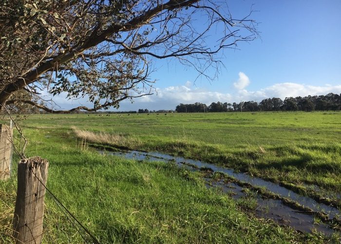 Paddocks near Bunbury in Western Australia