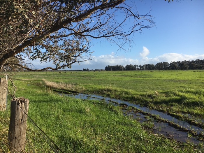 Paddocks near Bunbury in Western Australia