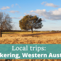Local trips Meckering Western Australia - The Thoughtful Travel Podcast Episode 208