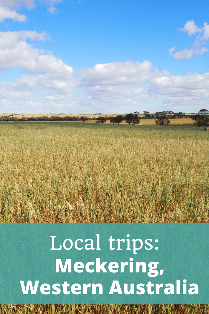 Local trips Meckering Western Australia - The Thoughtful Travel Podcast