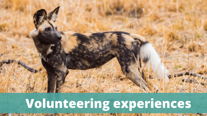 Volunteering experiences - The Thoughtful Travel Podcast