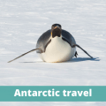 Antarctic travel - The Thoughtful Travel Podcast