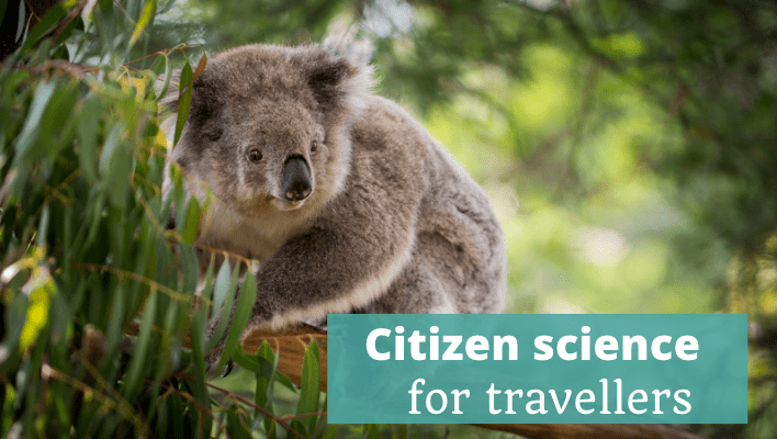 Citizen Science for Travellers: Episode 293 of The Thoughtful Travel Podcast - The Thoughtful Travel Podcast Episode 268