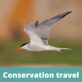 Conservation travel - The Thoughtful Travel Podcast