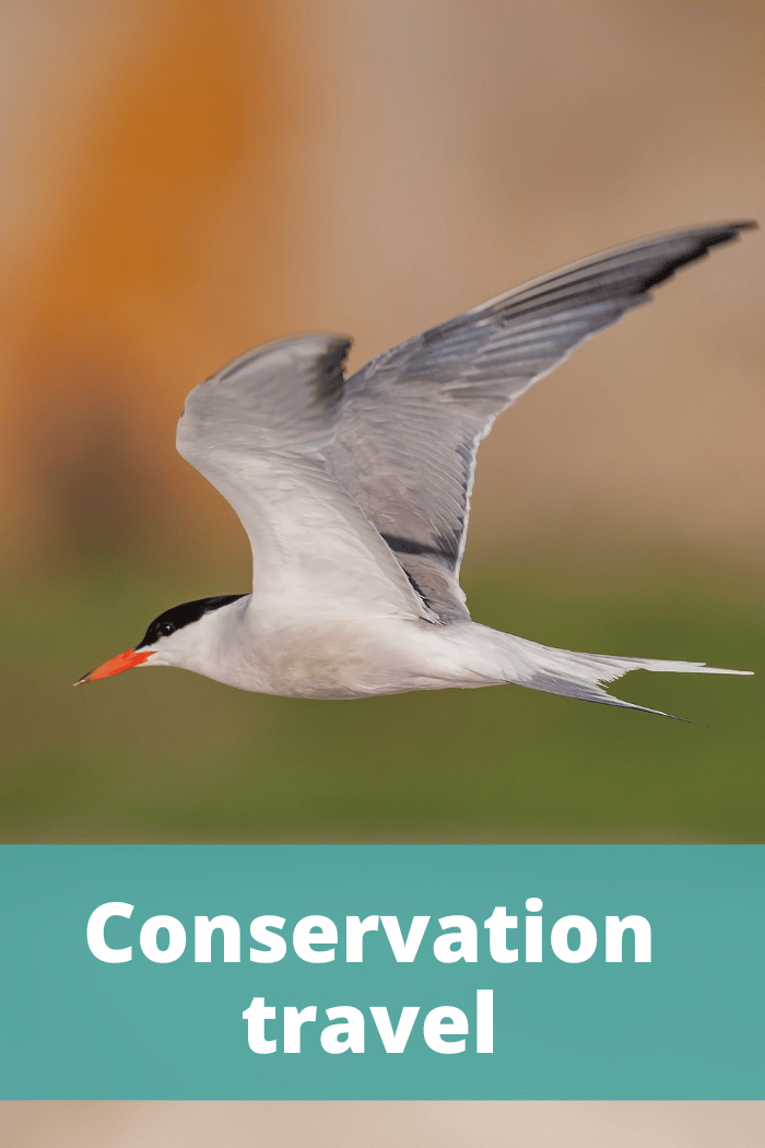 Conservation travel - The Thoughtful Travel Podcast Episode 298