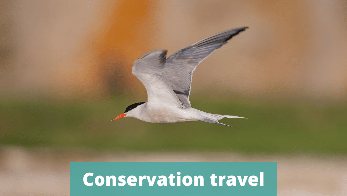 Conservation travel - The Thoughtful Travel Podcast