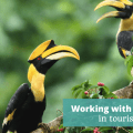 Working with animals in tourism Episode 331 of The Thoughtful Travel Podcast