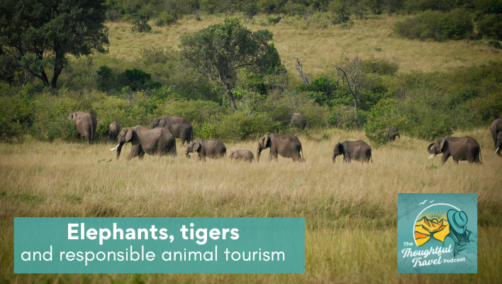 Elephant tigers and responsible animal tourism - The Thoughtful Travel Podcast